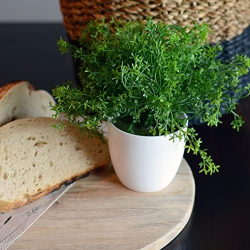 WHW Realistic Faux Baby Thyme Plant 6 x 975 Tall