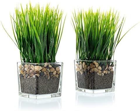 MyGift Artificial Grass Plants in Square Clear Glass Pots Set of 2