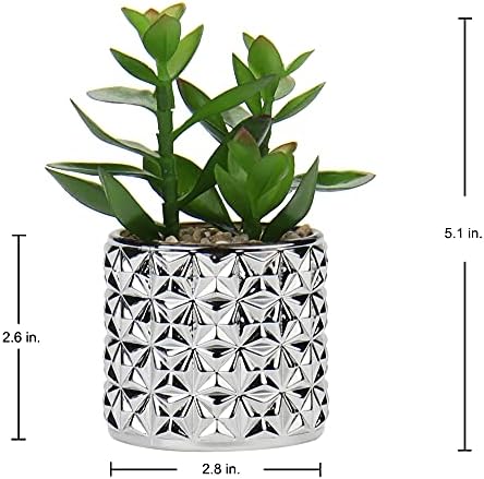 Briful Small Artificial Succulents with Silver Glass Pots 3 Pack