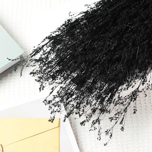 Tavkite Dried Babys Breath Bouquet 17 Inch Black
