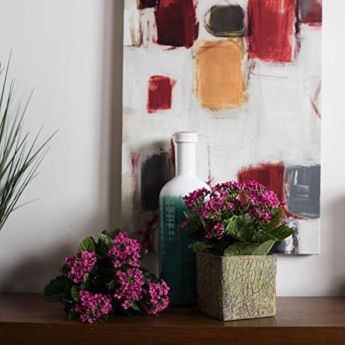 Vickerman Artificial Hot Pink Kanachoe Bush 1725 In