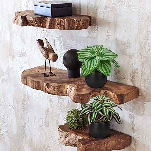 Briful 3PCS Artificial Plants in Black Pots