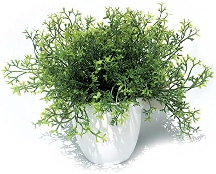 WHW Realistic Faux Baby Thyme Plant 6 x 975 Tall