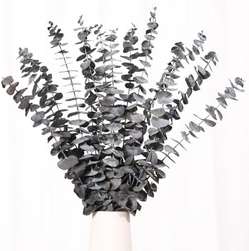 16 Pcs Dried Eucalyptus Stems Natural Hanging Shower Decor