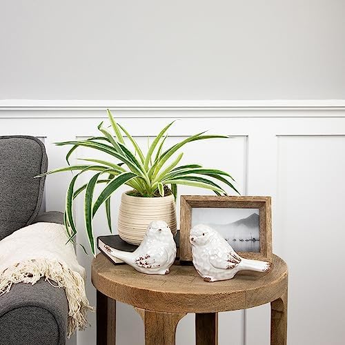 Northlight Artificial Spider Plant in Beige Ceramic Pot 20 Inch
