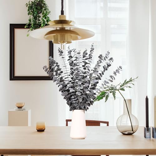 16 Pcs Dried Eucalyptus Stems Natural Hanging Shower Decor