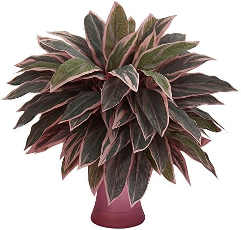 Nearly Natural Caladium Rose Vase Artificial Plant Green
