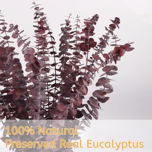 HIAGROW Dried Eucalyptus Stems Red 20pcs for Vase