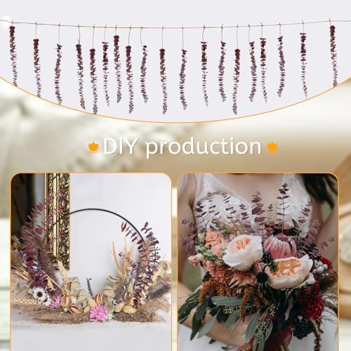 HIAGROW Dried Eucalyptus Stems Red 20pcs for Vase