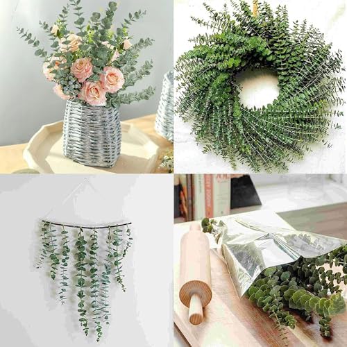 EOBTAIN Dried Eucalyptus Stems for Decor