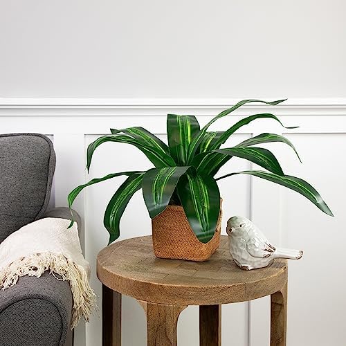 Northlight Artificial Dracaena Plant in Square Rattan Ceramic Pot - 27 Inch