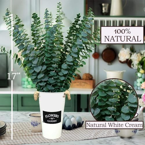 EOBTAIN Dried Eucalyptus Stems for Decor