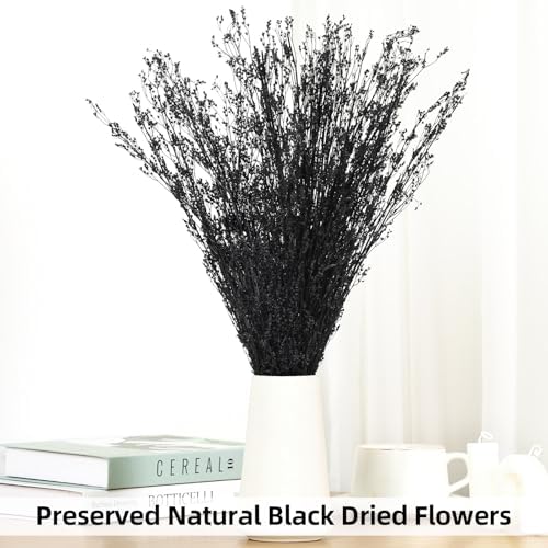 Tavkite Dried Babys Breath Bouquet 17 Inch Black