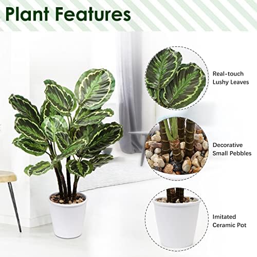 Briful 248 In Artificial Calathea Plant