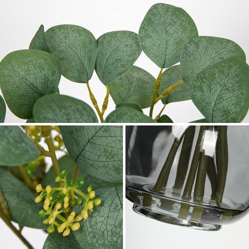 DILATATA Artificial Eucalyptus Stems in Glass Vase with Faux Water