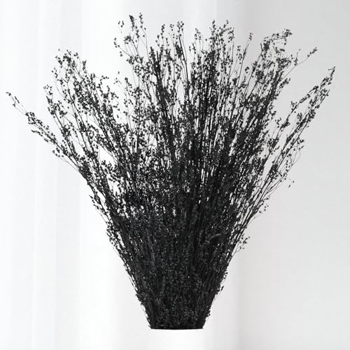 Tavkite Dried Babys Breath Bouquet 17 Inch Black