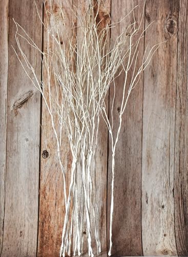 ChopiLine 10PCS Lifelike Curly Willow Branches for Vase Decor