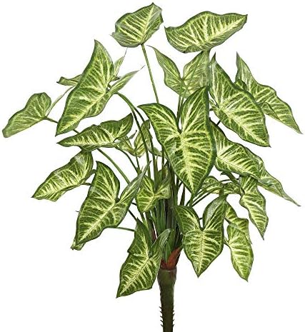 Vickerman 22 Artificial Green Syngonium Bush