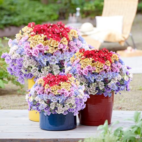 ZEOSTARO Artificial Flowers 12 Bundles Multi Color