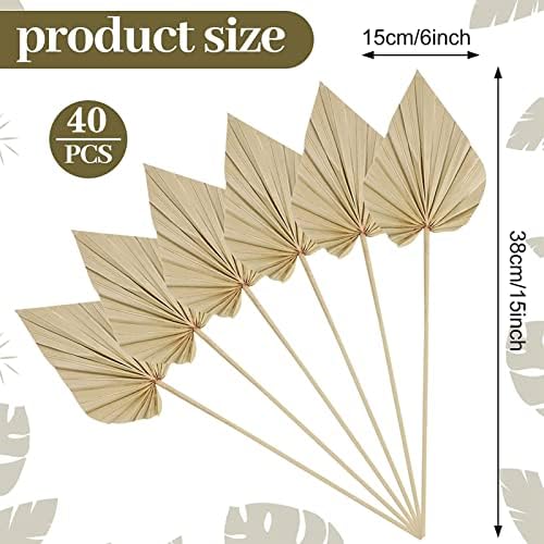 Cenkaiyang 40 Pcs Boho Dried Palm Spears Leaves Decor