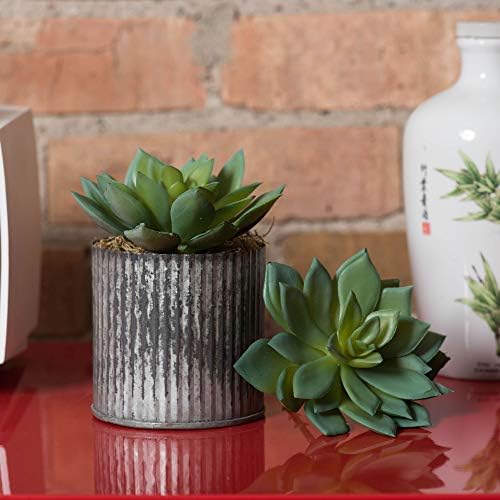 Vickerman Everyday 4 Inch Artificial Succulent