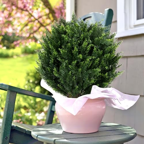 Keepinno 21 T Artificial Cedar Topiary Ball Tree 2 Pack