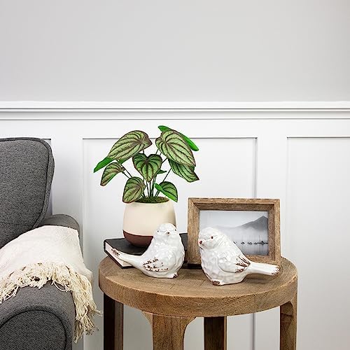 Northlight Artificial Peperomia Plant in Two-Tone Ceramic Pot