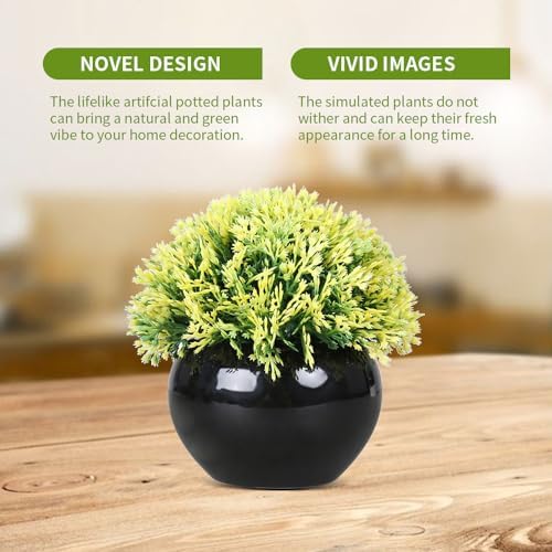 Small Potted Boxwood Topiary with Black Ceramic Pot