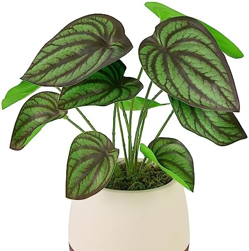 Northlight Artificial Peperomia Plant in Two-Tone Ceramic Pot