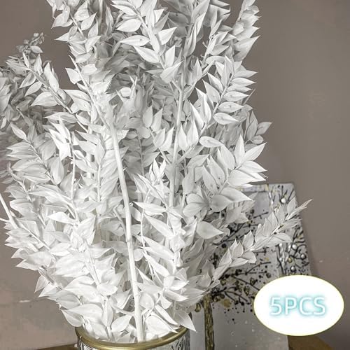 5Pcs Dried White Eucalyptus Ruscus for Wedding Vase Decor