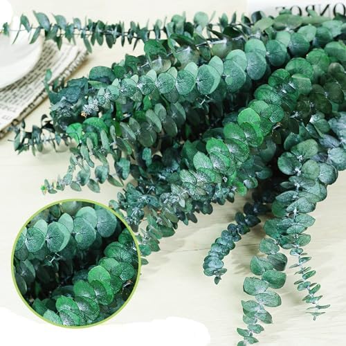 EOBTAIN Dried Eucalyptus Stems for Decor