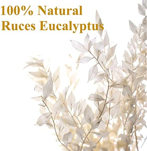 5Pcs Dried White Eucalyptus Ruscus for Wedding Vase Decor