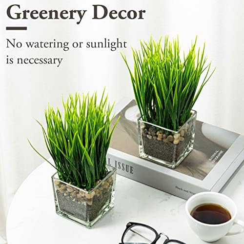 MyGift Artificial Grass Plants in Square Clear Glass Pots Set of 2