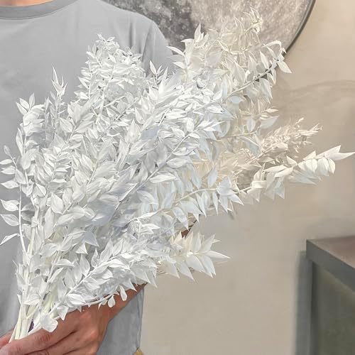 5Pcs Dried White Eucalyptus Ruscus for Wedding Vase Decor