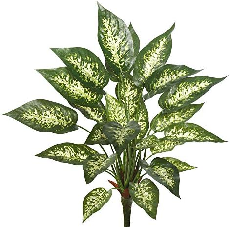 Vickerman 22 Inch Artificial Green and White Dieffenbachia Bush