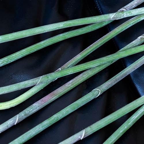 Duyone Artificial Flowers Bird of Paradise 37 Inch 2Pcs