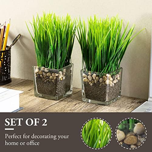 MyGift Artificial Grass Plants in Square Clear Glass Pots Set of 2