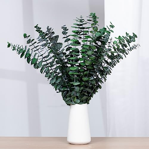 16 Pcs Dried Eucalyptus Stems Natural Hanging Shower Decor