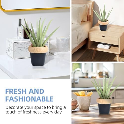 Artificial Agave Plant in Decorative Pot