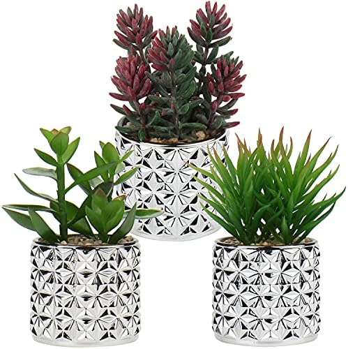 Briful Small Artificial Succulents with Silver Glass Pots 3 Pack