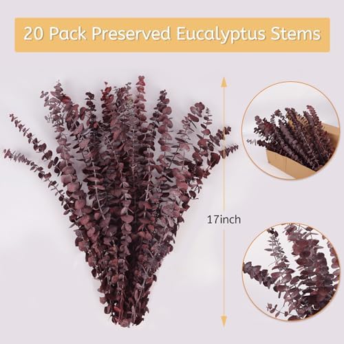 HIAGROW Dried Eucalyptus Stems Red 20pcs for Vase
