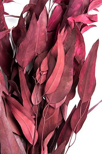 SuperMoss Eucalyptus Long Dried Flowers 35oz