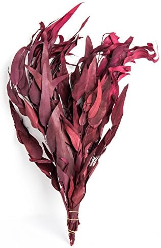 SuperMoss Eucalyptus Long Dried Flowers 35oz