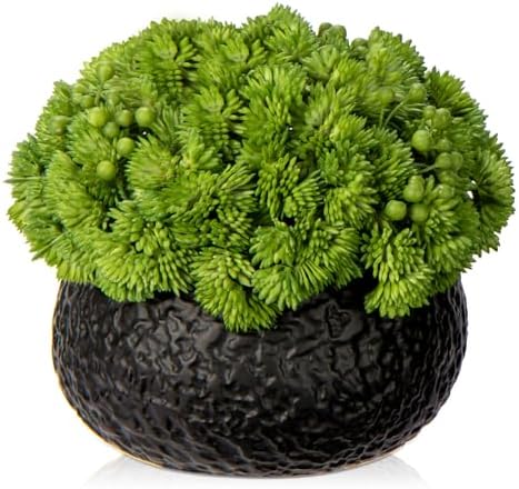 Briful Artificial Succulents in Black Ceramic Pots