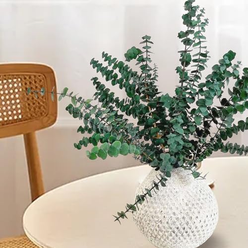 EOBTAIN Dried Eucalyptus Stems for Decor