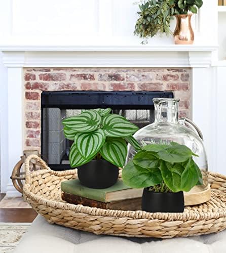 Briful 3PCS Artificial Plants in Black Pots