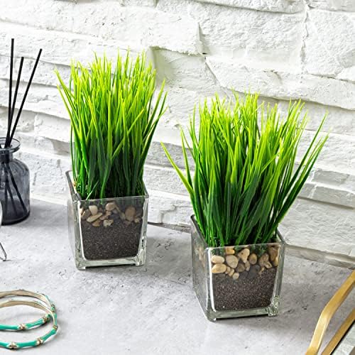 MyGift Artificial Grass Plants in Square Clear Glass Pots Set of 2