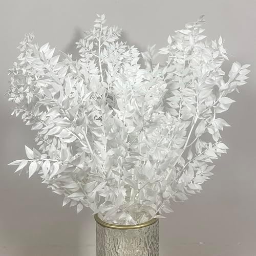 5Pcs Dried White Eucalyptus Ruscus for Wedding Vase Decor