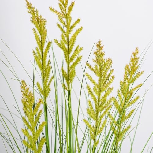 MelorcaGuilla 2Pack 49 Artificial Tall Grass