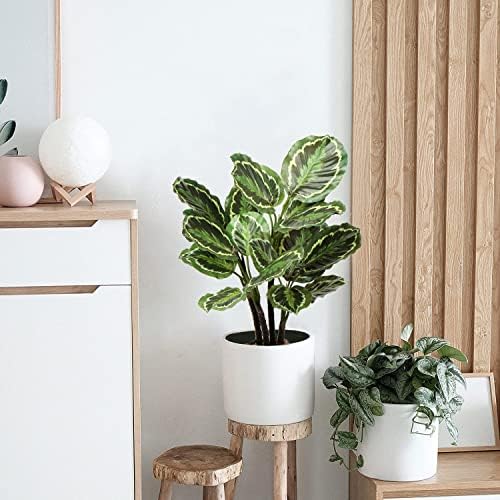 Briful 248 In Artificial Calathea Plant